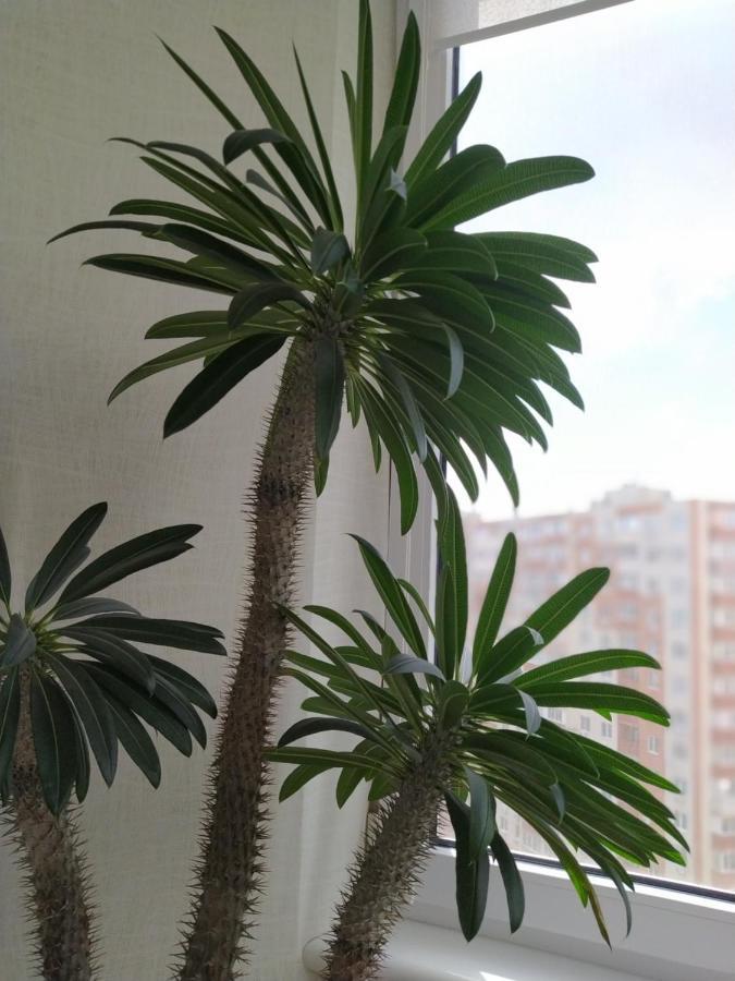 в жилом комплексе левитана,массив радужный Apartment Odesa